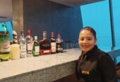 Saloneros y bartenders