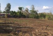 Terreno rural Km 12 a la máquina Cuyotenango Suchitepéquez